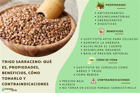 infografía sobre los beneficios nutricionales del trigo sarraceno