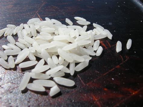 Detalle de los granos de arroz en su punto con el marisco