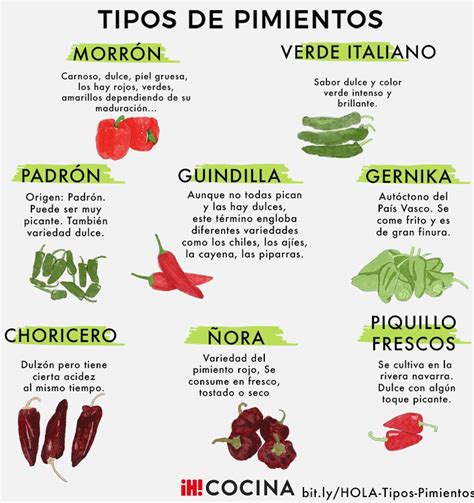 Diferentes tipos de pimientos: morrones y mini