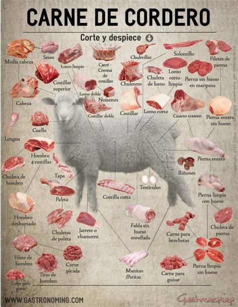 Infografía comparativa de cortes de cordero