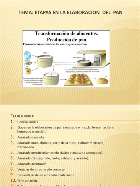Esquema del proceso de elaboración del pan y sus etapas