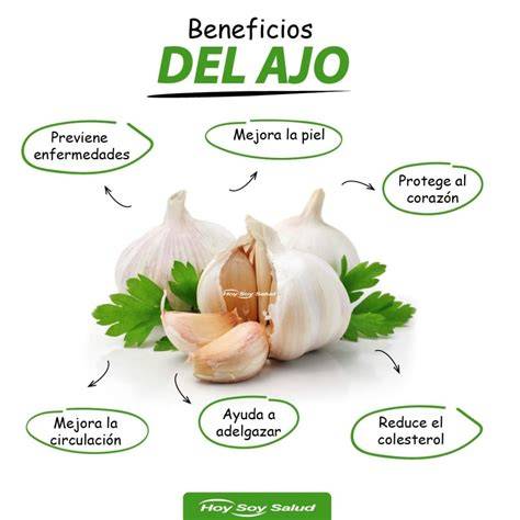 Esquema de los beneficios del ajo para la salud
