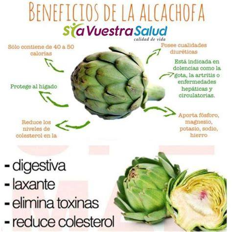 Infografía con los beneficios de las alcachofas