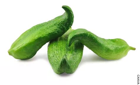 Pepinos de guiso limpios y cortados
