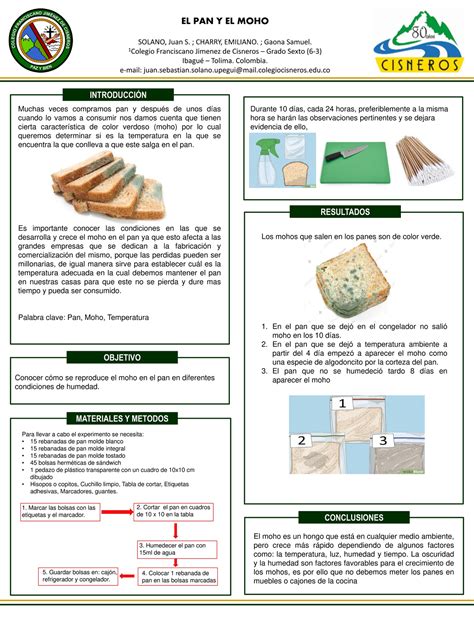 Esquema de diferentes condiciones para el crecimiento de moho
