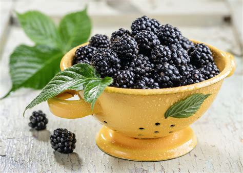 Bizcocho de moras en un plato