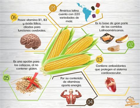 infografía sobre las propiedades nutricionales y beneficios de la harina de coco