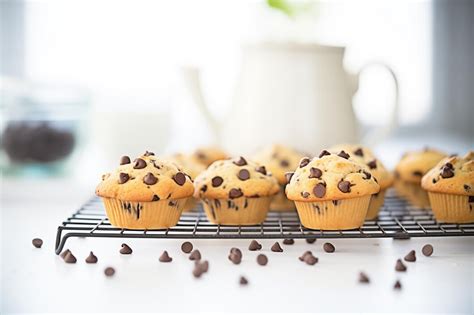 Muffins de chocolate recién horneados sobre una rejilla