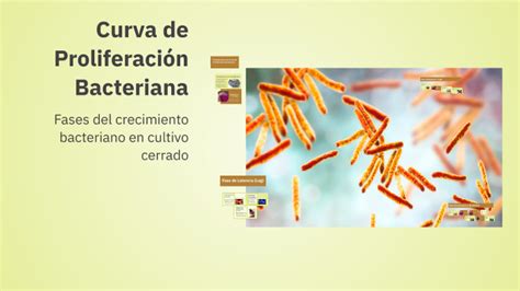 Esquema de proliferación bacteriana en alimentos