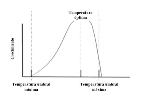 Gráfico de temperatura y crecimiento bacteriano