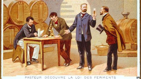 Louis Pasteur y el descubrimiento de la fermentación