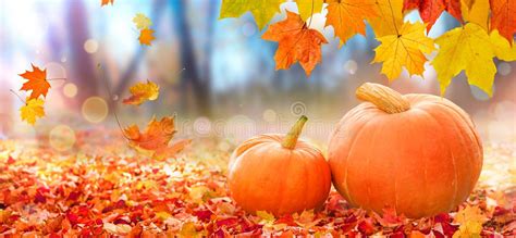 Calabazas de otoño y especias