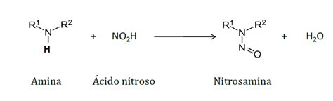 Diagrama mostrando la formación de nitrosaminas y aminas heterocíclicas en la carne procesada.