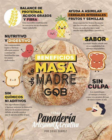 Infografía comparando pan de masa madre y pan comercial
