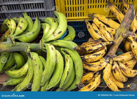 Plátanos maduros y verdes