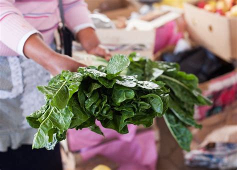 Acelgas frescas y vibrantes en el mercado