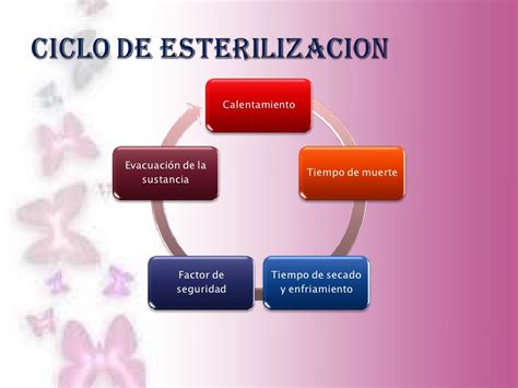 Diagrama de flujo del proceso de esterilización y pasteurización