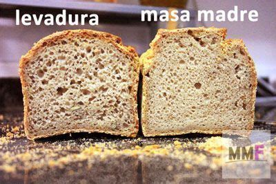 Diferencias entre pan con levadura comercial y pan con masa madre