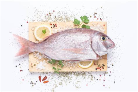 Dorada fresca para cocinar