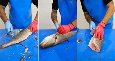 Pasos detallados para limpiar pescado