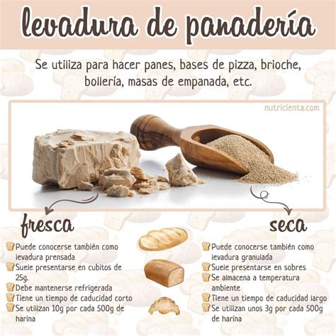 Diferencia entre la acción de la levadura biológica y la levadura química