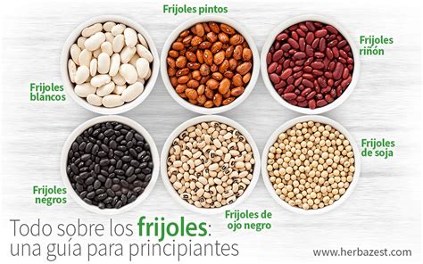 Tipos de frijoles y sus tiempos de cocción