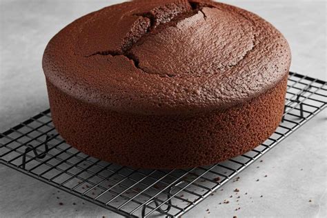 bizcocho de chocolate recién horneado sobre rejilla