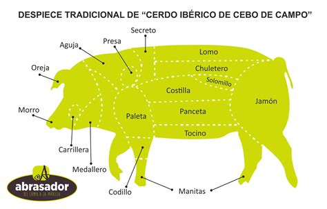 Cortes de cerdo: Ubicación del jarrete y codillo