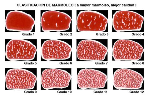 Corte de carne Wagyu con un alto grado de marmoleo