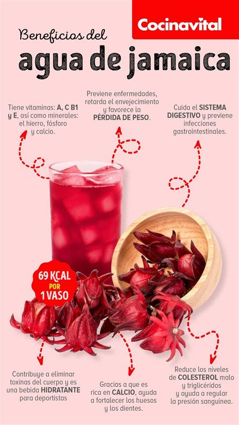 Infografía sobre los beneficios para la salud de la flor de Jamaica
