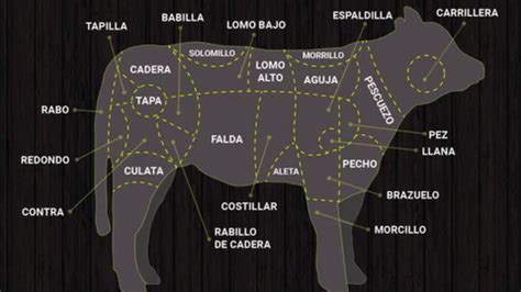 Anatomía de la ternera mostrando la ubicación del costillar