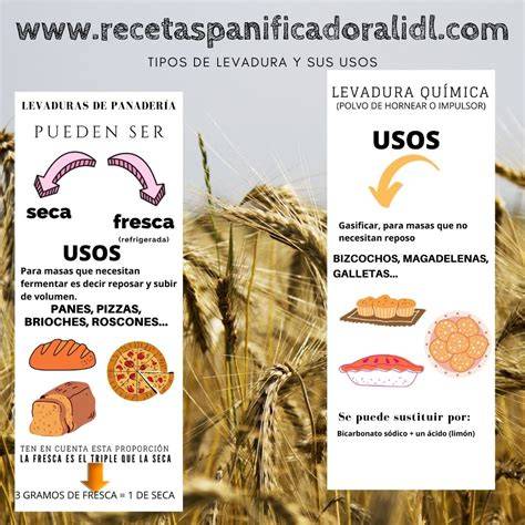 Tipos de levadura: fresca, seca y química