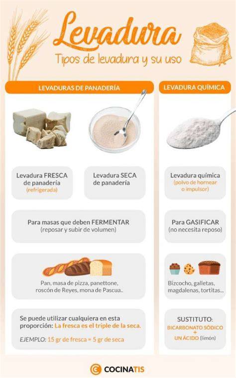 infografía tipos de levadura fresca seca y química