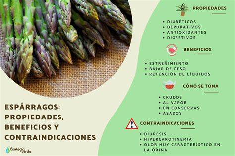 Gráfico de la temporada de espárragos