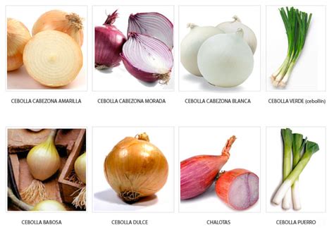 Variedades de cebolla