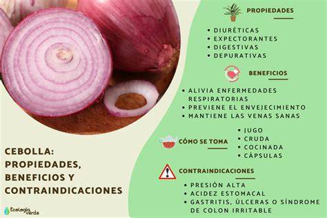 Comparación de propiedades de la cebolla según el método de cocción