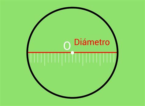 Referencia visual de un diámetro de 20 cm