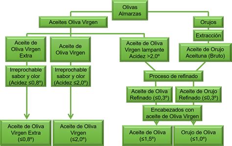 Clasificación de los aceites de oliva
