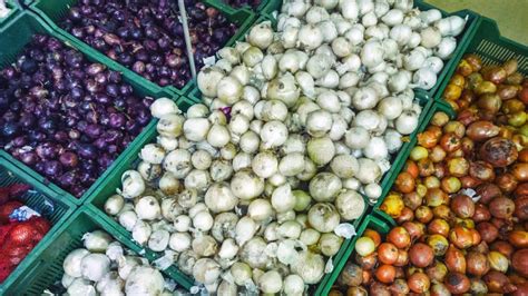 Cebollas variadas
