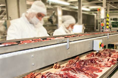 Instalaciones de elaboración de productos cárnicos artesanales