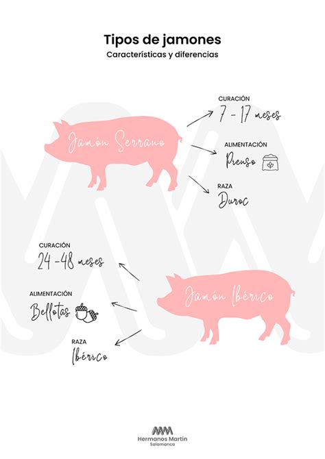 Infografía comparativa de contenido proteico en diferentes tipos de jamón