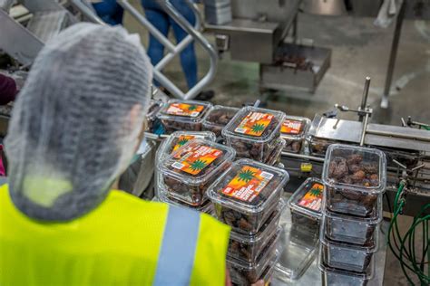 Proceso de fabricación de sándwiches envasados en planta industrial
