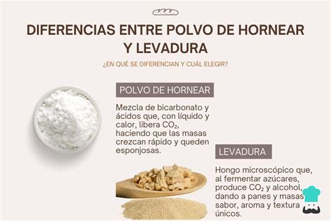 Ilustración de cómo funciona el polvo para hornear en contacto con líquidos y calor, liberando dióxido de carbono