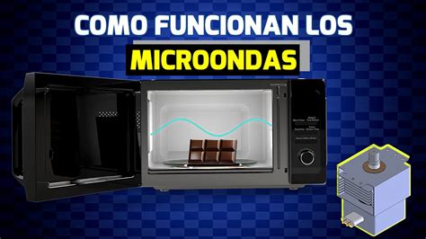 Infografía sobre las funciones de un microondas