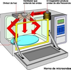 Diagrama de un microondas mostrando el magnetrón y la distribución de ondas