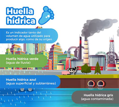 Esquema de la huella hídrica global