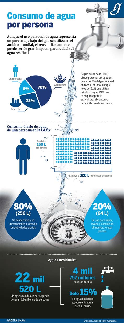 Infografía del consumo de agua en la producción de carne