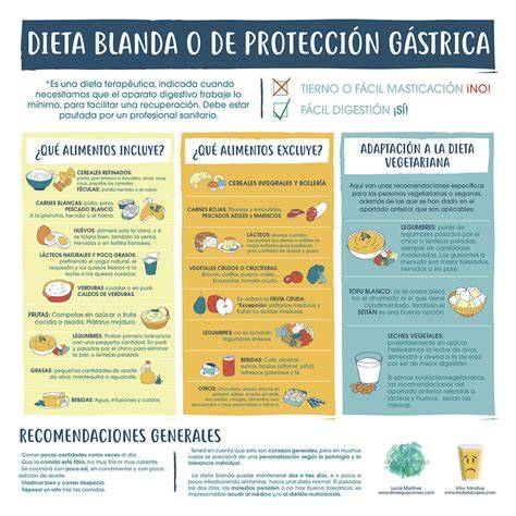 Infografía de alimentos recomendados durante la gastroenteritis