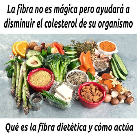 Infografía sobre cómo la fibra soluble reduce el colesterol