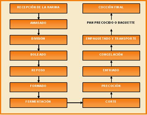 Esquema del proceso de elaboración del pan precocido